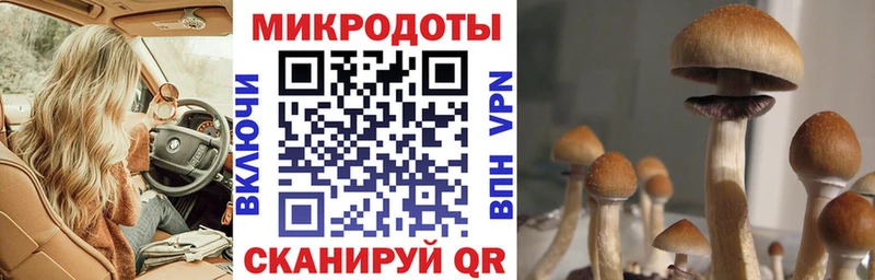 мега маркетплейс Азов Галлюциногенные грибы Psilocybine cubensis где найти наркотики
